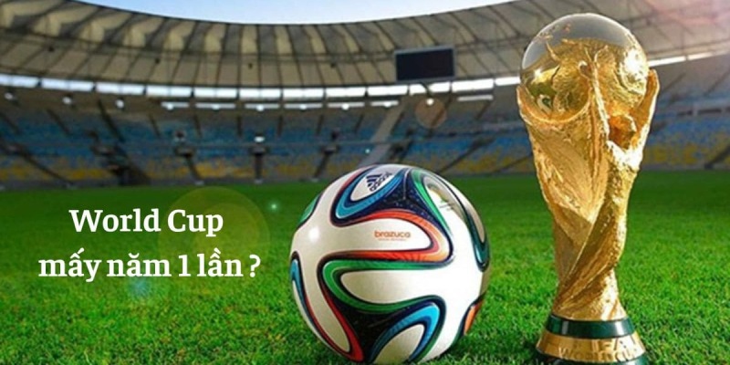 World Cup mấy năm một lần?